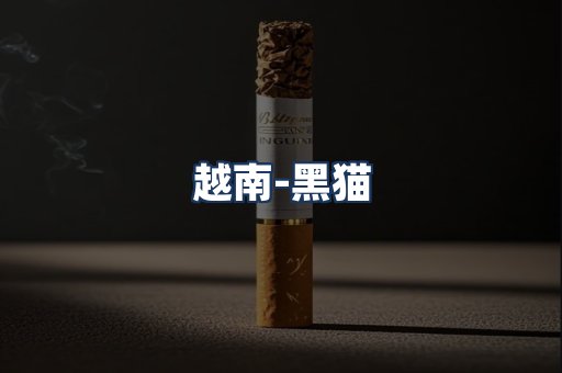 越南黑猫